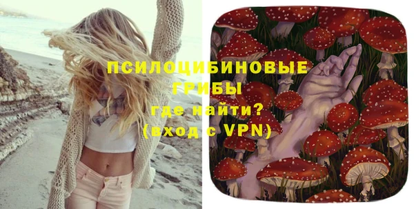 a pvp Алзамай
