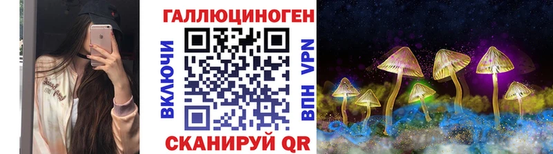 darknet официальный сайт  Нолинск  Галлюциногенные грибы Psilocybine cubensis 